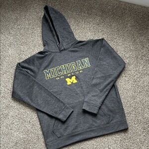 Men's Size Lg. Gray Michigan Hoodie